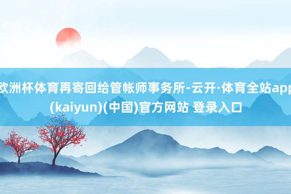 欧洲杯体育再寄回给管帐师事务所-云开·体育全站app(kaiyun)(中国)官方网站 登录入口