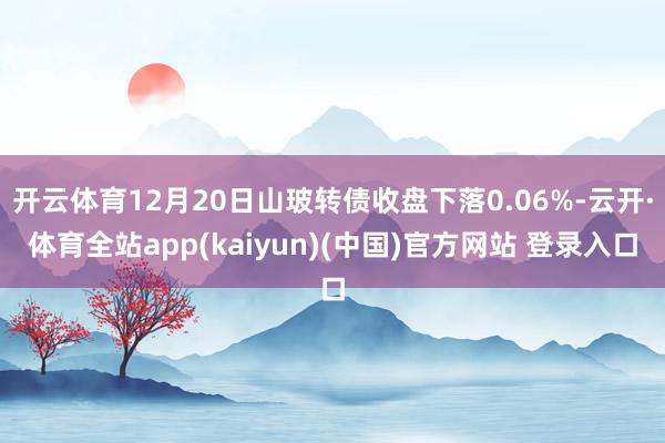 开云体育12月20日山玻转债收盘下落0.06%-云开·体育全站app(kaiyun)(中国)官方网站 登录入口
