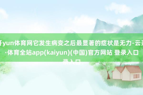 开yun体育网它发生病变之后最显著的症状是无力-云开·体育全站app(kaiyun)(中国)官方网站 登录入口
