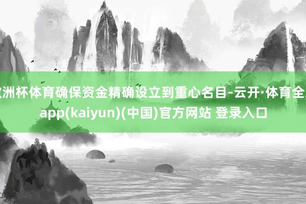 欧洲杯体育确保资金精确设立到重心名目-云开·体育全站app(kaiyun)(中国)官方网站 登录入口
