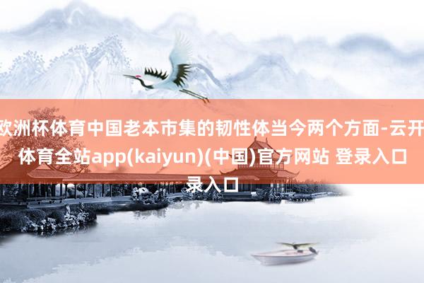 欧洲杯体育中国老本市集的韧性体当今两个方面-云开·体育全站app(kaiyun)(中国)官方网站 登录入口