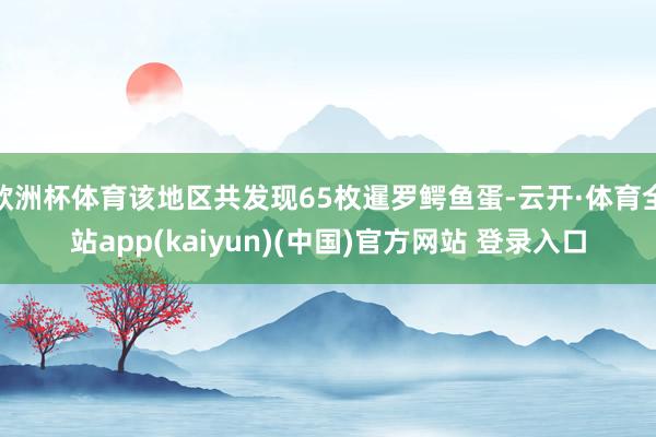 欧洲杯体育该地区共发现65枚暹罗鳄鱼蛋-云开·体育全站app(kaiyun)(中国)官方网站 登录入口
